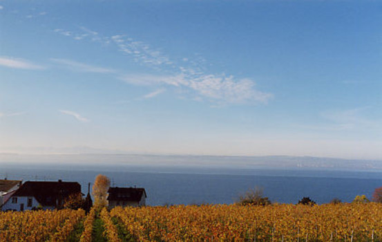 Blick aus dem Appartement Blick aus dem Appartement
